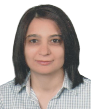 Aysun Büyükekiz